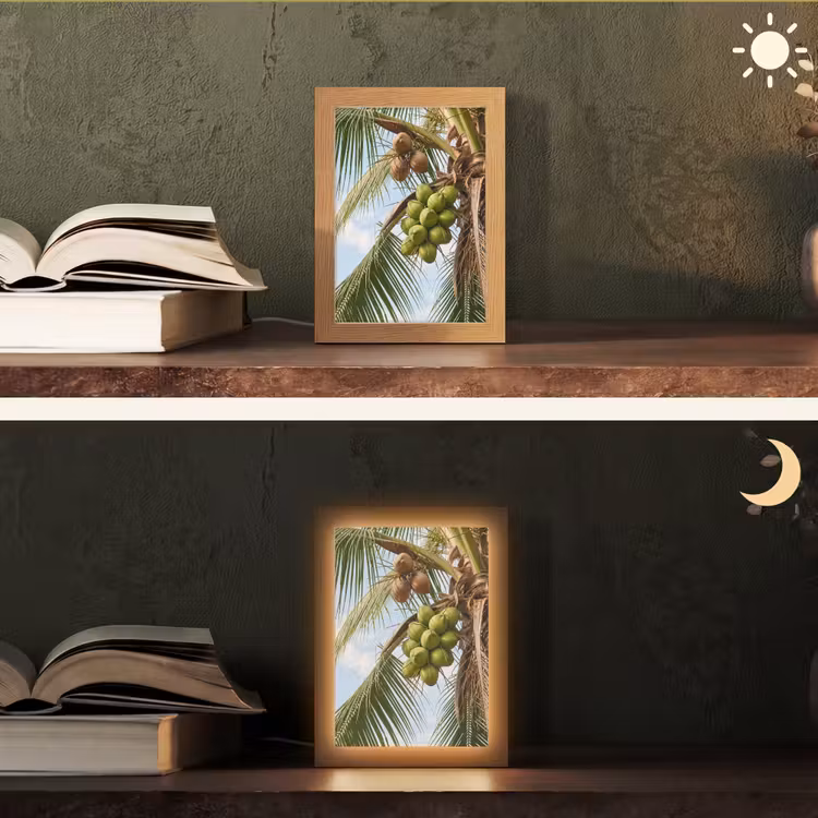 Gepersonaliseerde Lightbox - Kokosnoot - Boom - Tropisch - Natuur - Groen — 5