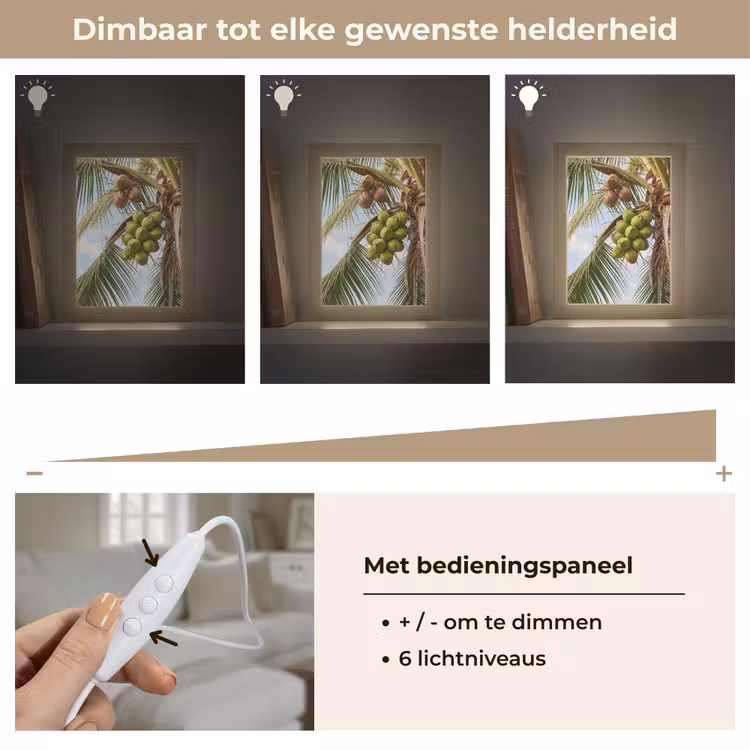 Gepersonaliseerde Lightbox - Kokosnoot - Boom - Tropisch - Natuur - Groen — 8