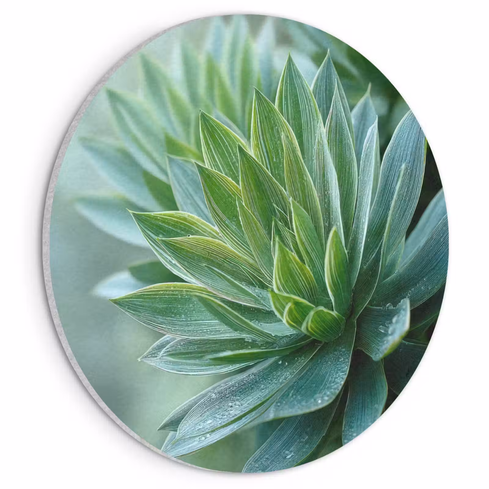 Akoestisch schilderij rond - Blad - Plant - Groen - Textuur — 1