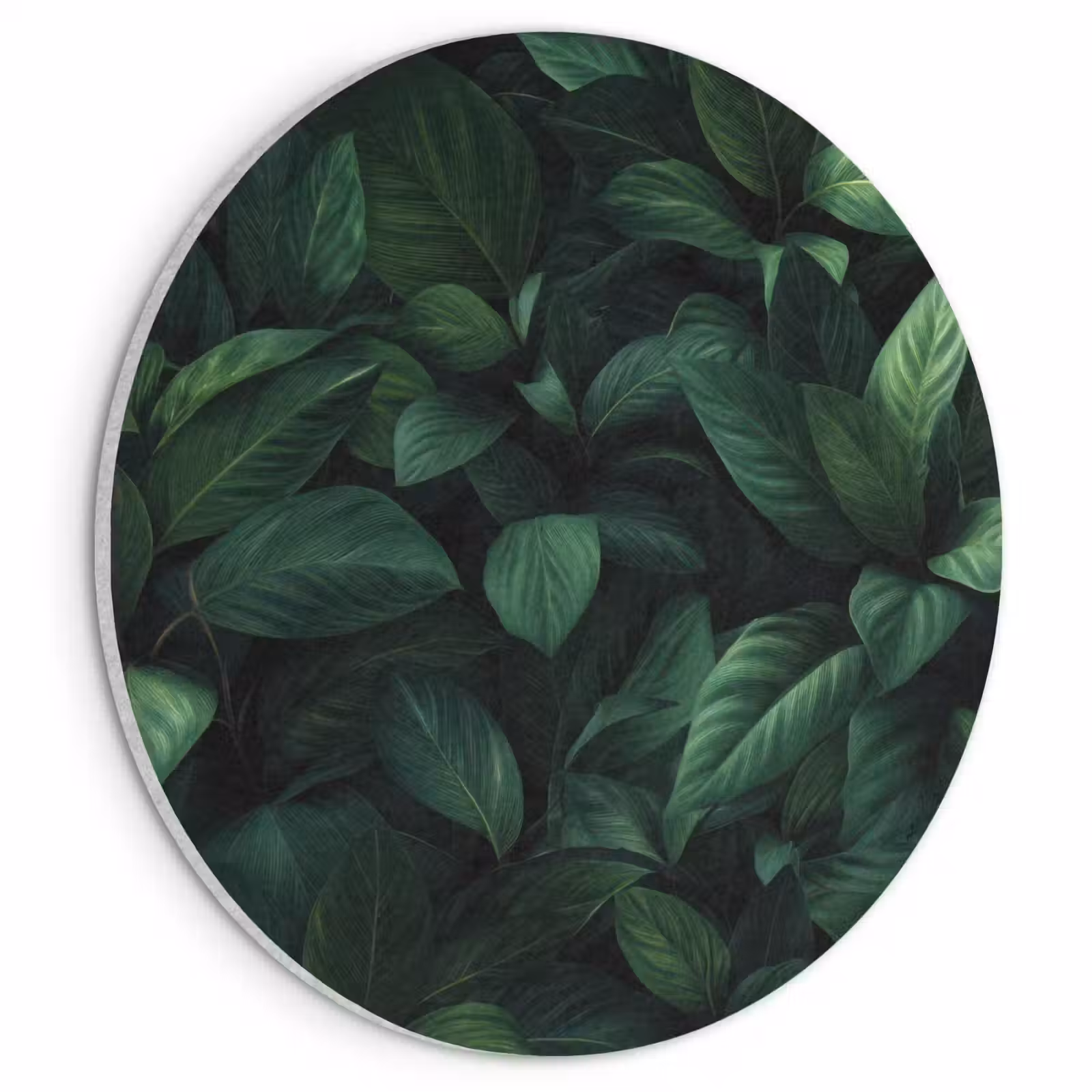 Akoestisch schilderij rond - Bladeren - Ovaal - Groen - Nerven — 1