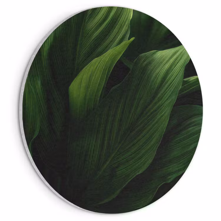 Akoestisch schilderij rond - Bladeren - Schaduw - Groen - Textuur — 1