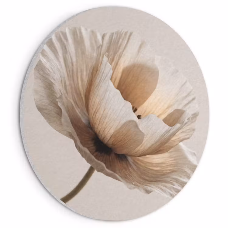Akoestisch schilderij rond - Bloem - Beige - Crème