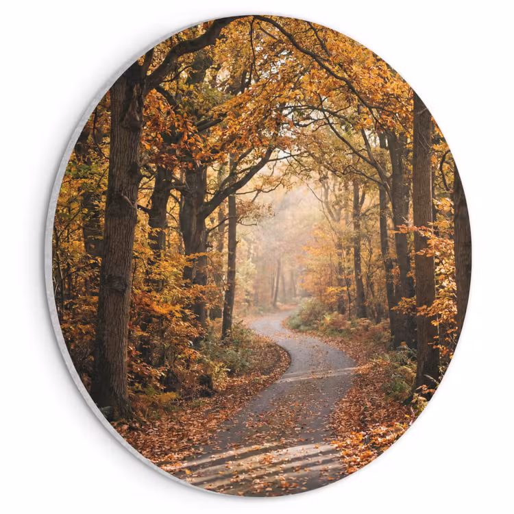 Akoestisch schilderij rond - Bospad - Herfstbos - Bladeren - Oranje - Nostalgisch