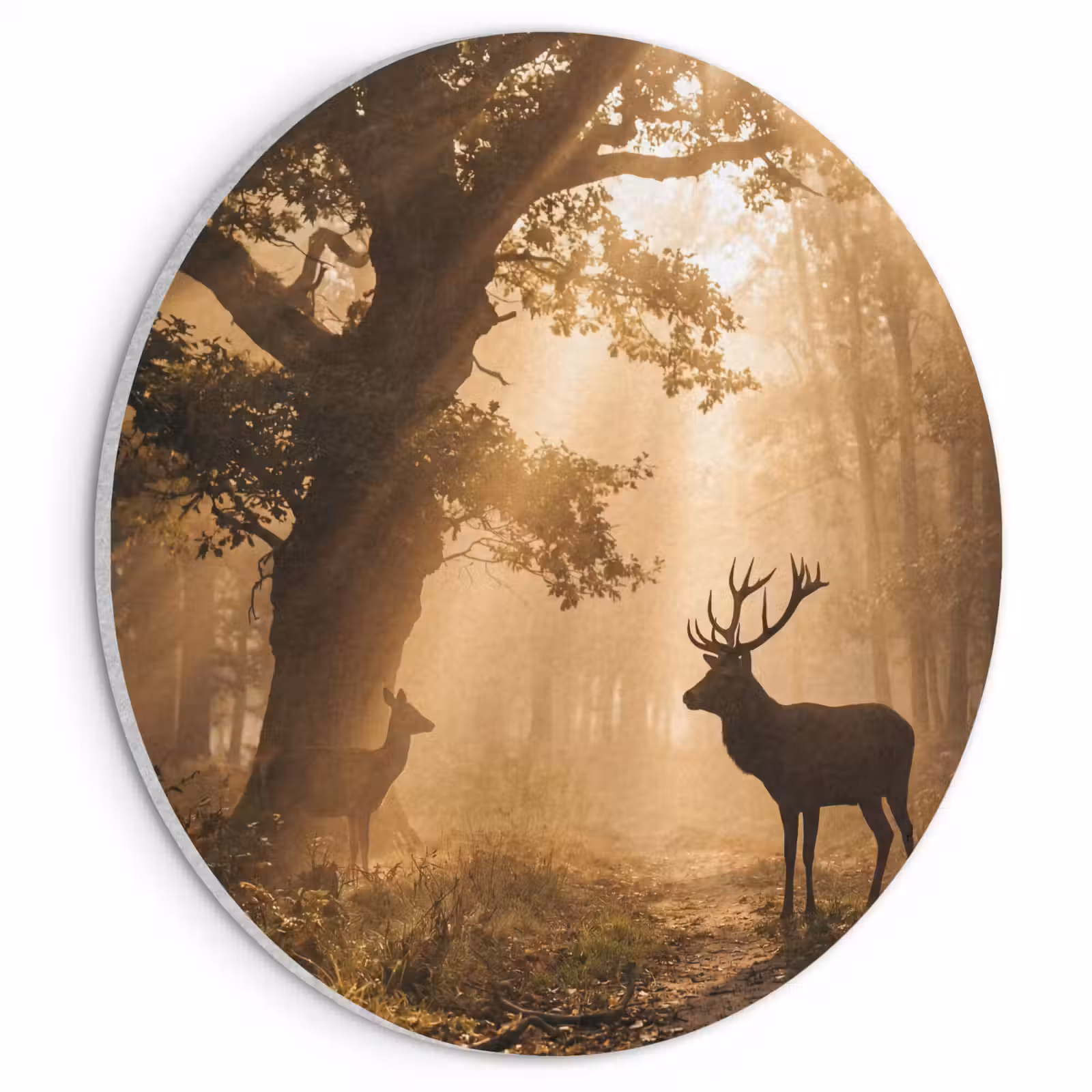 Akoestisch schilderij rond - Hert - Bos - Mistig - Natuur - Goud — 1