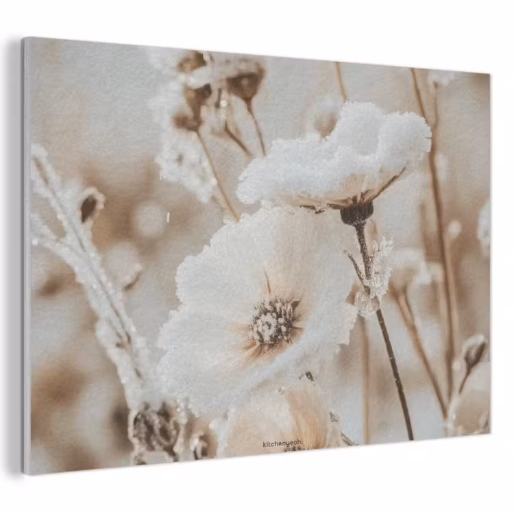 Akoestisch schilderij - Bloemen - Beige - Winter — 1