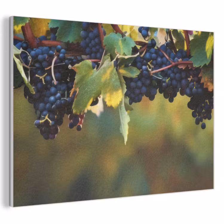 Akoestisch schilderij - Druiven - Wijn - Natuur - Groen — 1