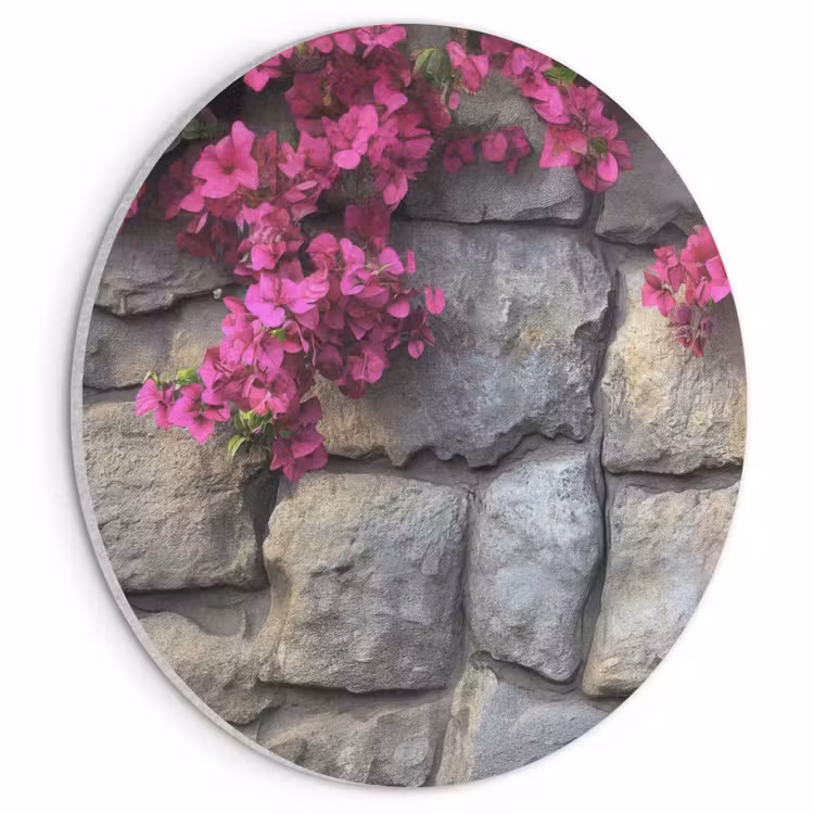Akoestisch schilderij - Bougainvillea - Stenen Muur - Roze — 1