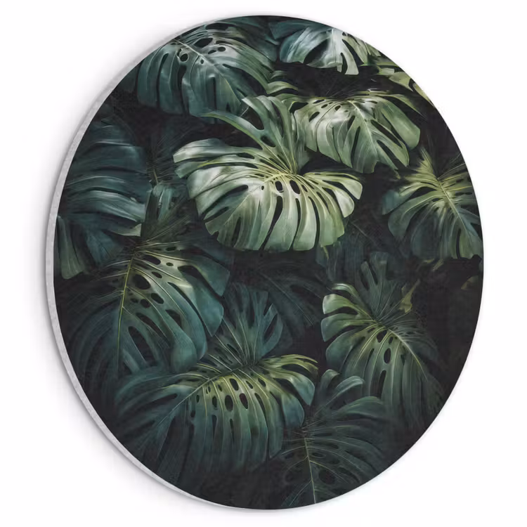 Akoestisch schilderij rond - Plant - Monstera - Lichtinval — 1