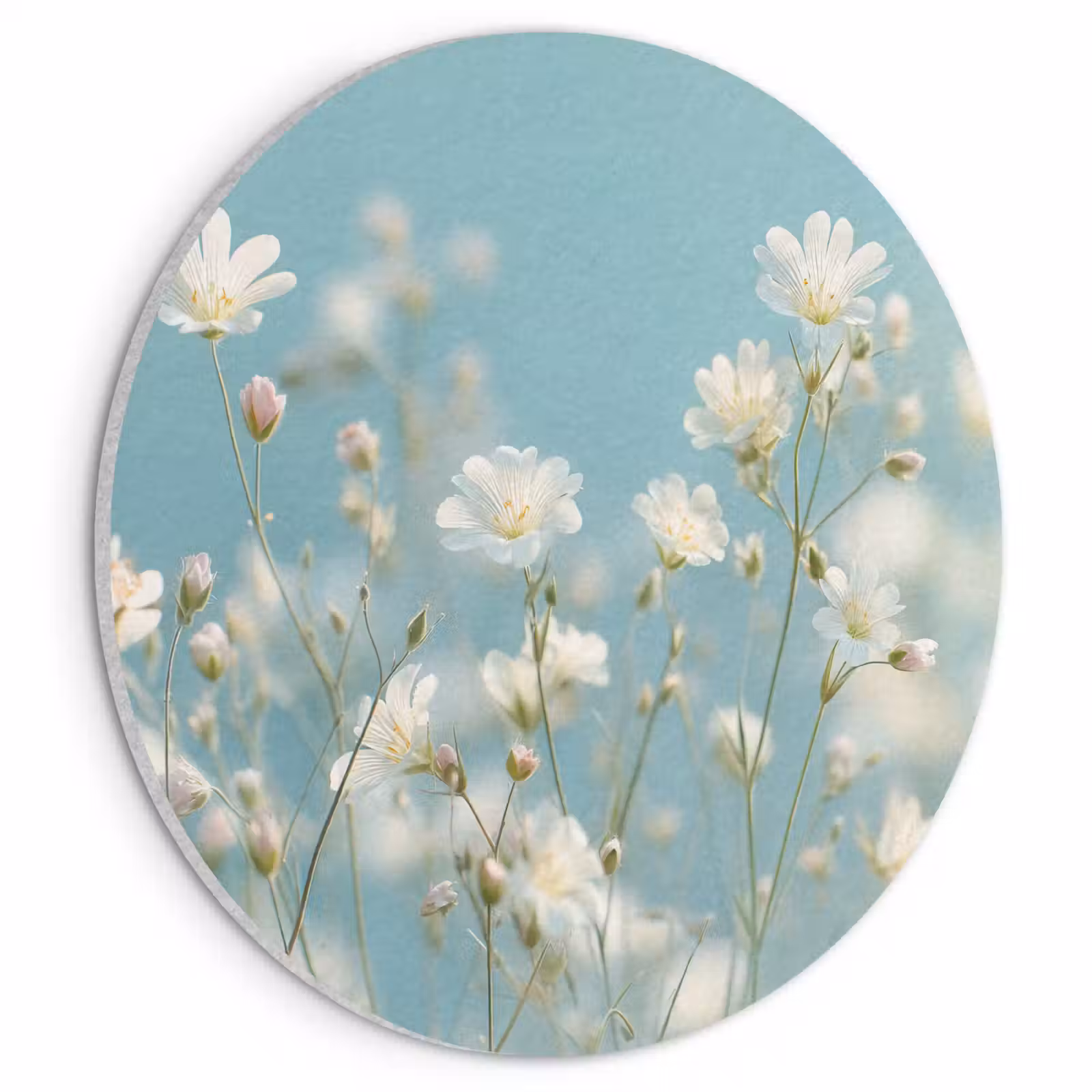 Akoestisch schilderij rond - Stängel – Blumen – Luft – Weiß — 1