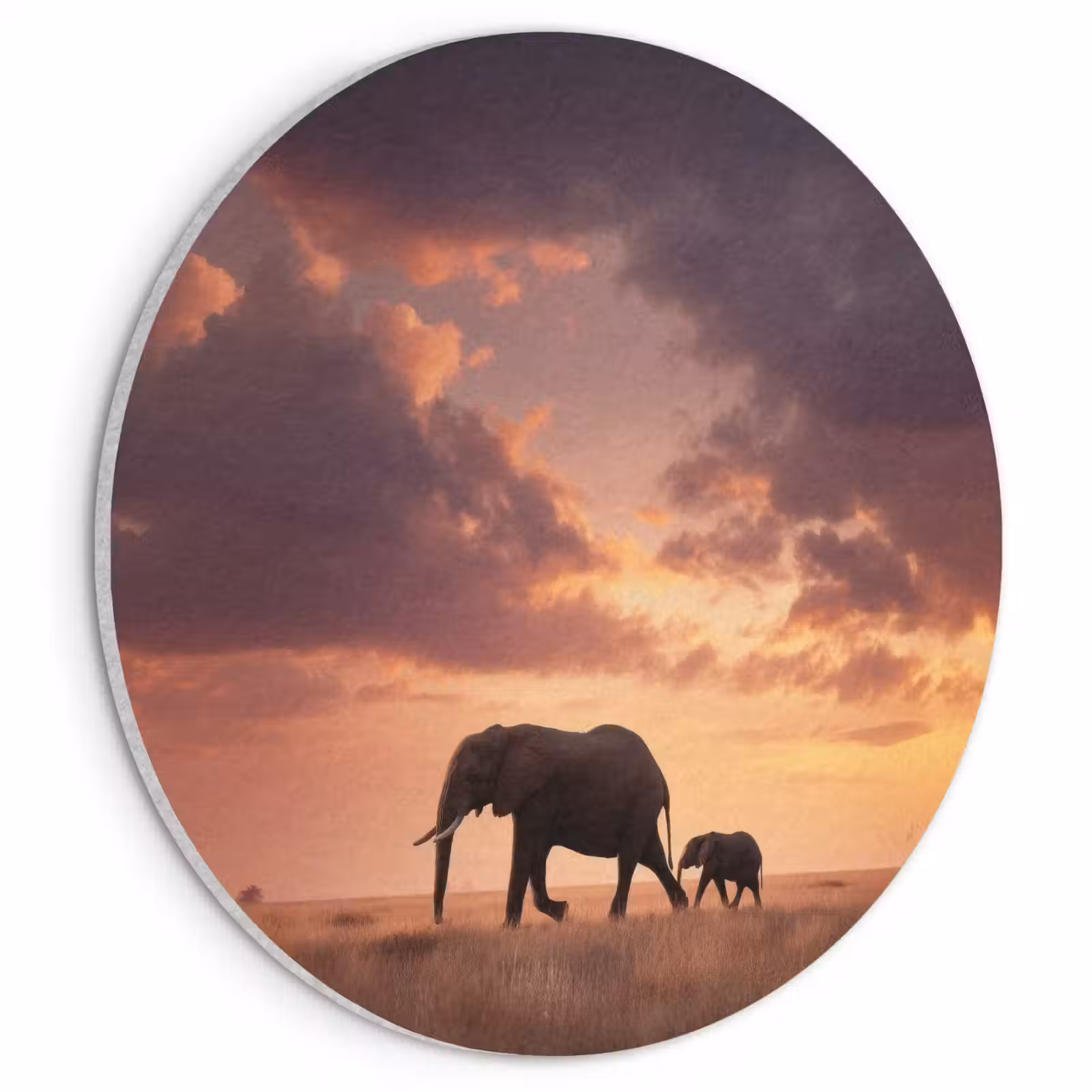 Akoestisch schilderij rond - Olifanten - Grasland - Zonsondergang — 1