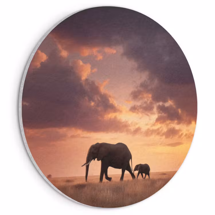 Akoestisch schilderij rond - Olifanten - Grasland - Zonsondergang — 1