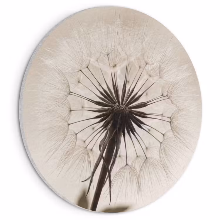 Akoestisch schilderij rond - Paardenbloem - Minimalistisch - Wit