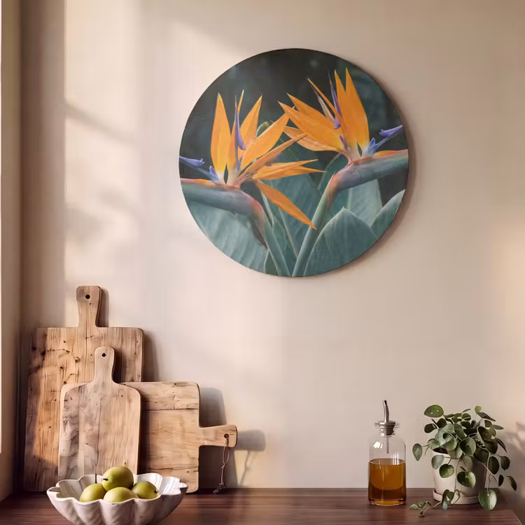 Akoestisch schilderij rond - Paradijsvogel - Bloem - Exotisch — 4