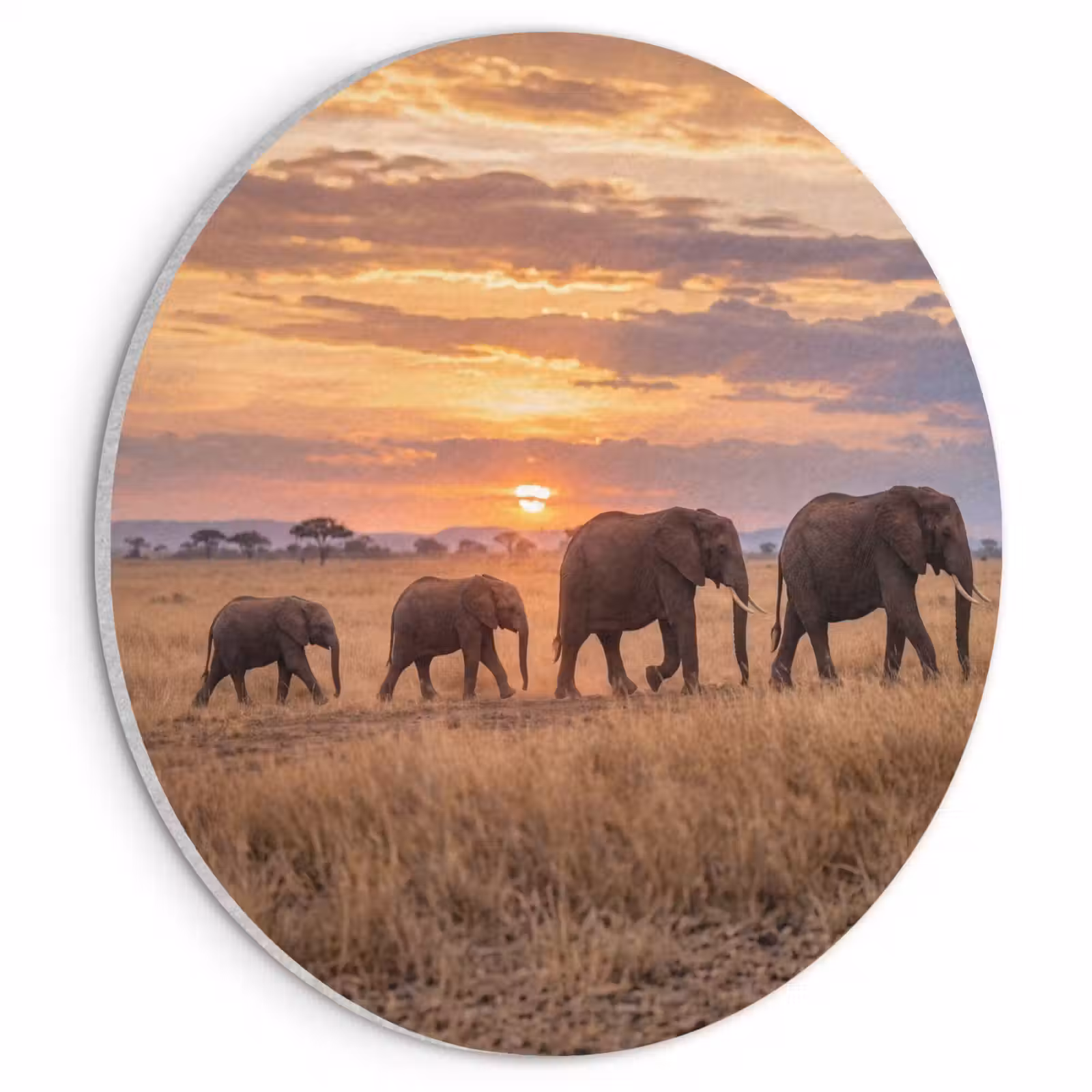 Akoestisch schilderij rond - Olifanten - Savanne - Zonsondergang - Afrika - Warm — 1