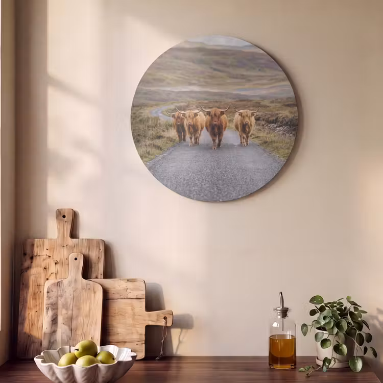 Akoestisch schilderij rond - Schotse Hooglanders - Weg - Landschap - Kudde — 4