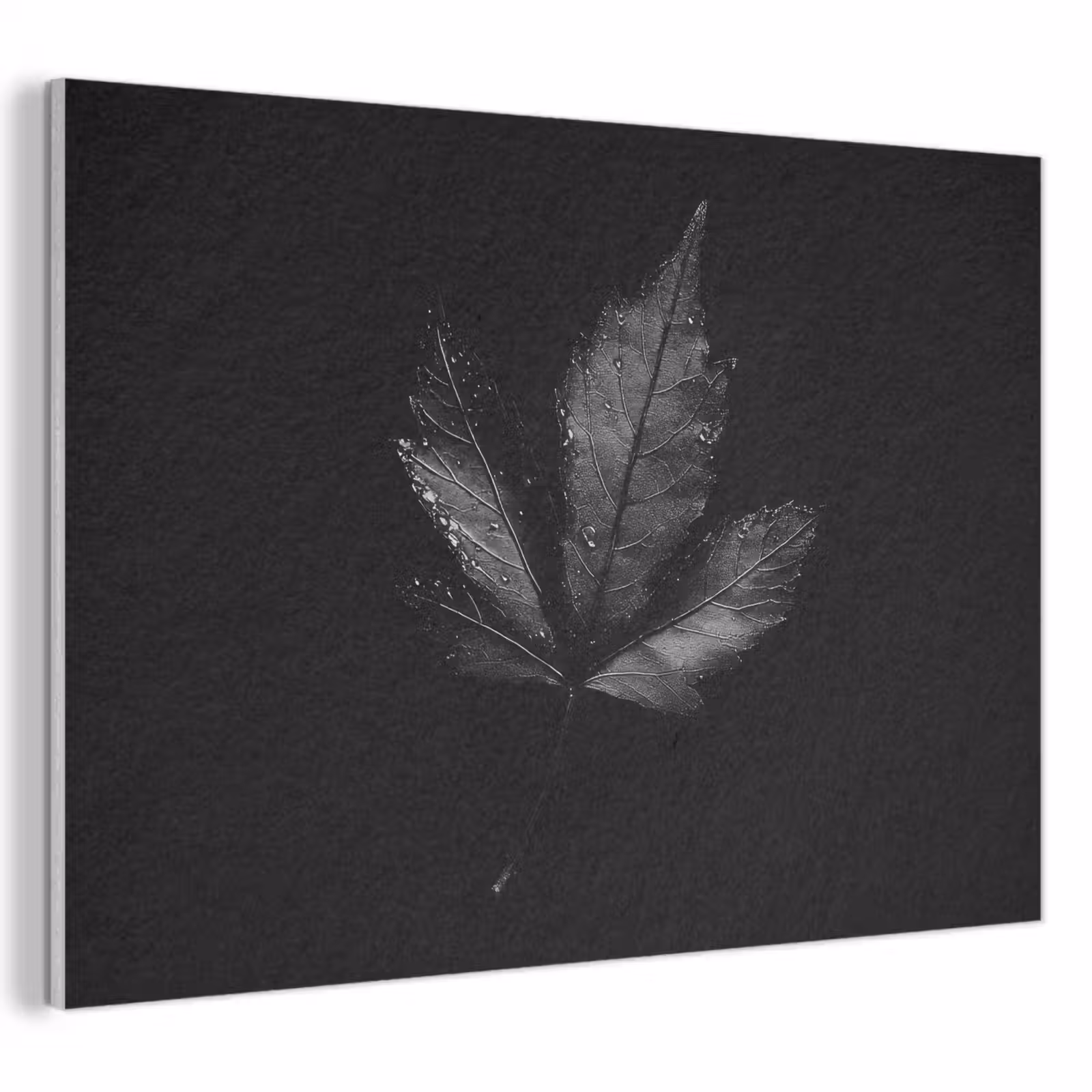 Akoestisch schilderij - Zwart - Blad — 1