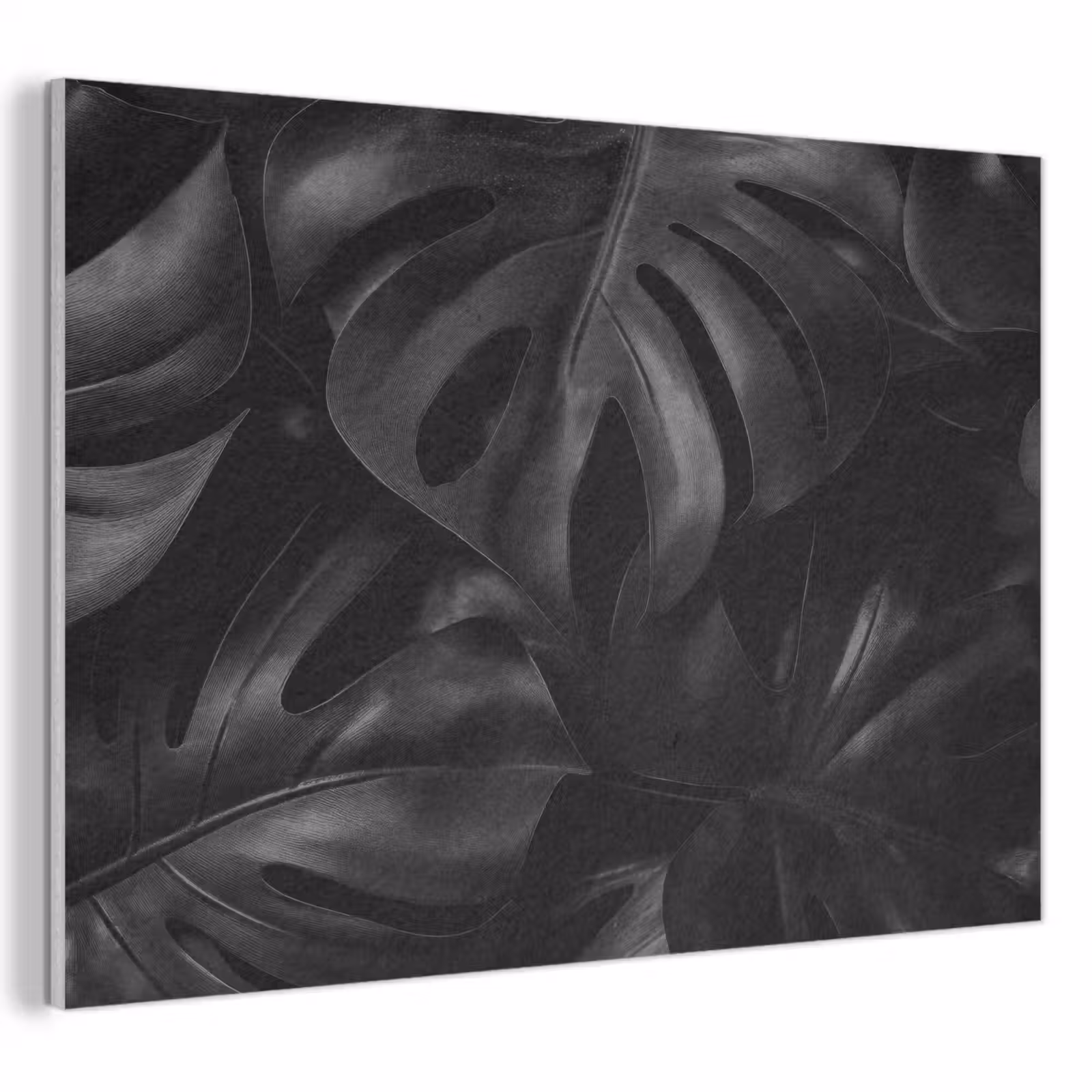 Akoestisch schilderij - Zwart - Monstera - Bladeren — 1
