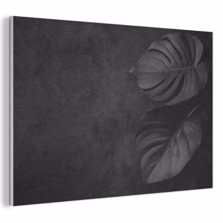 Akoestisch schilderij - Zwart - Blad - Monstera — 1
