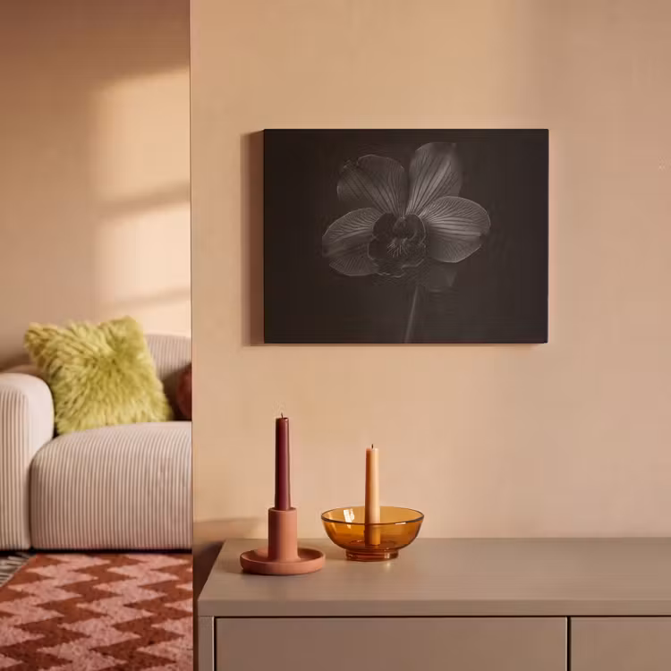 Akoestisch schilderij - Zwart - Bloem - Orchidee — 2