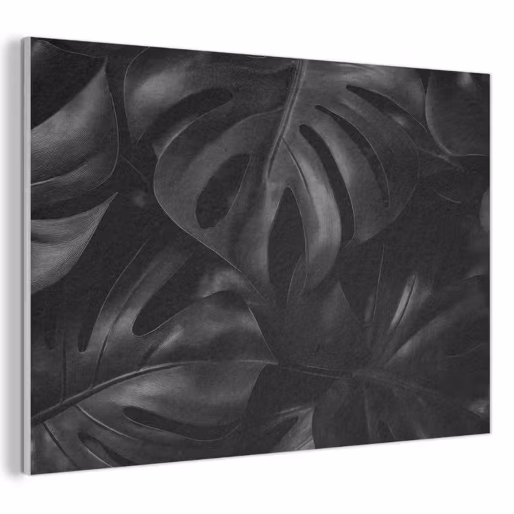 Akoestisch schilderij - Zwart - Monstera - Bladeren — 1