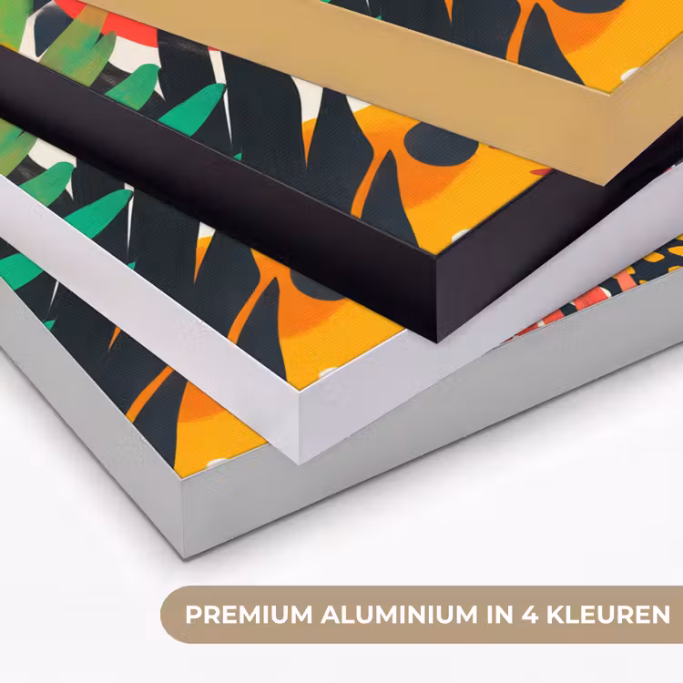 Art Frame - Bladeren - Vormen - Abstract - Kleurrijk — 2
