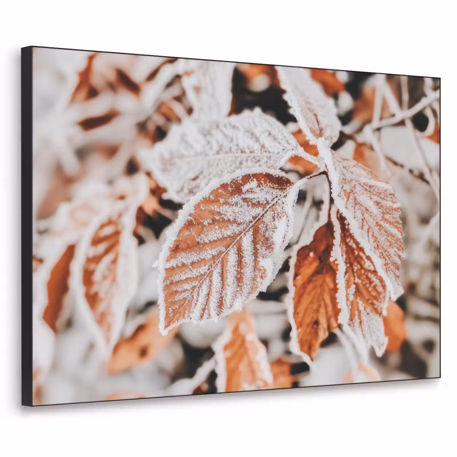 Art Frame - Bladeren - IJs - Winter - Natuur — 1