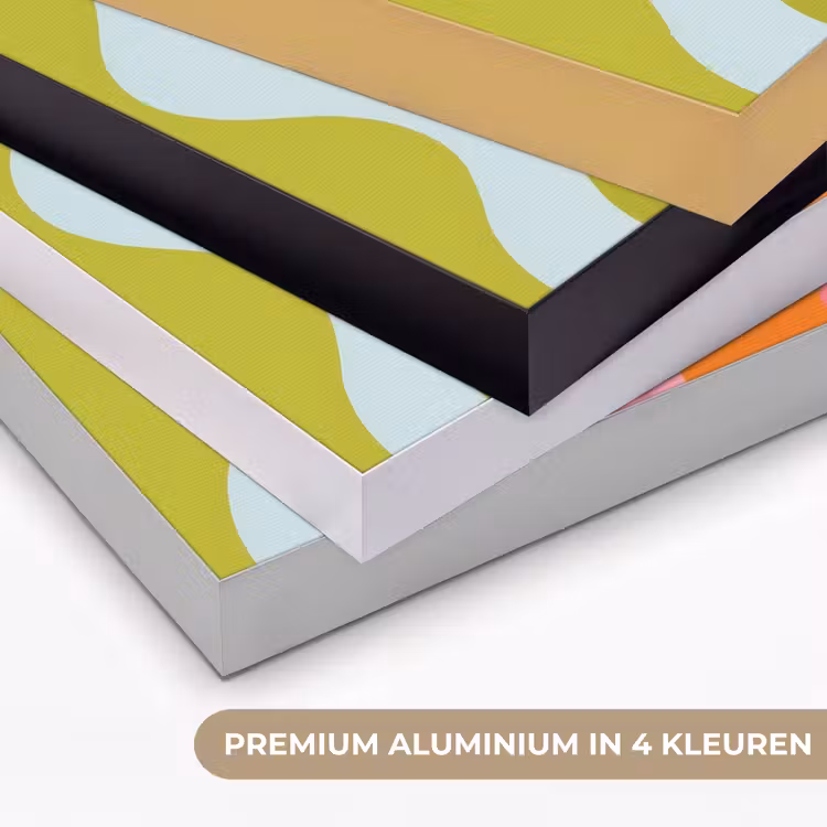 Art Frame - Banen - Golven - Kleurrijk - Verticaal — 2