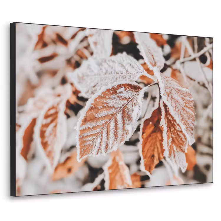 Art Frame - Bladeren - IJs - Winter - Natuur — 1