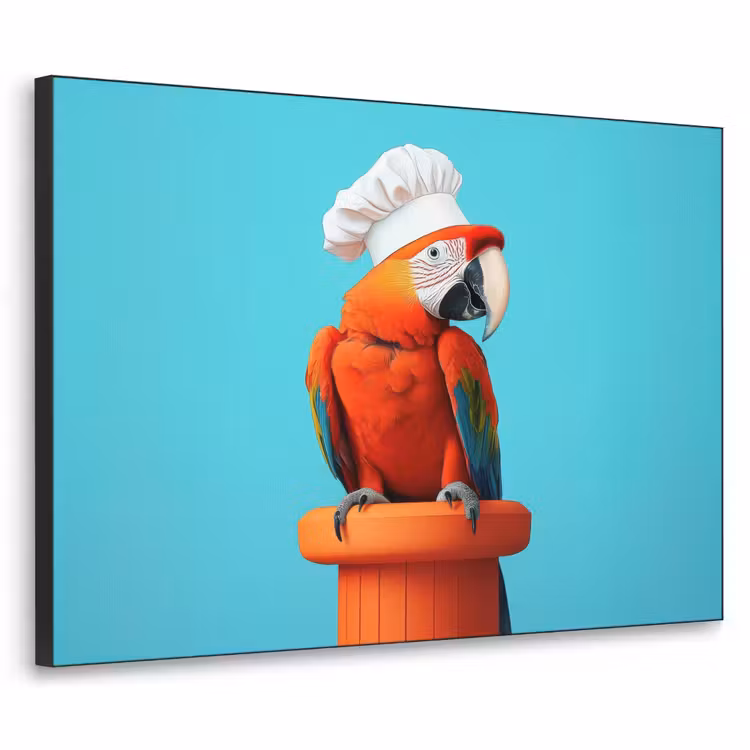 Art Frame - Ara - Koksmuts - Sokkel - Grappig — 1