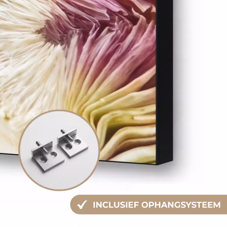 Art Frame - Artisjok - Doorgesneden - Eten — 6