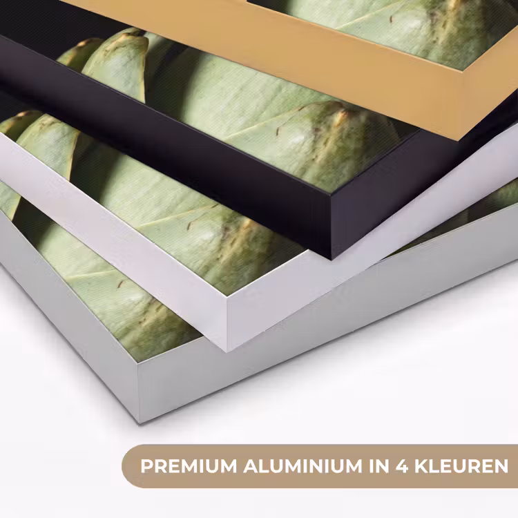 Art Frame - Artisjok - Groen - Eten — 2