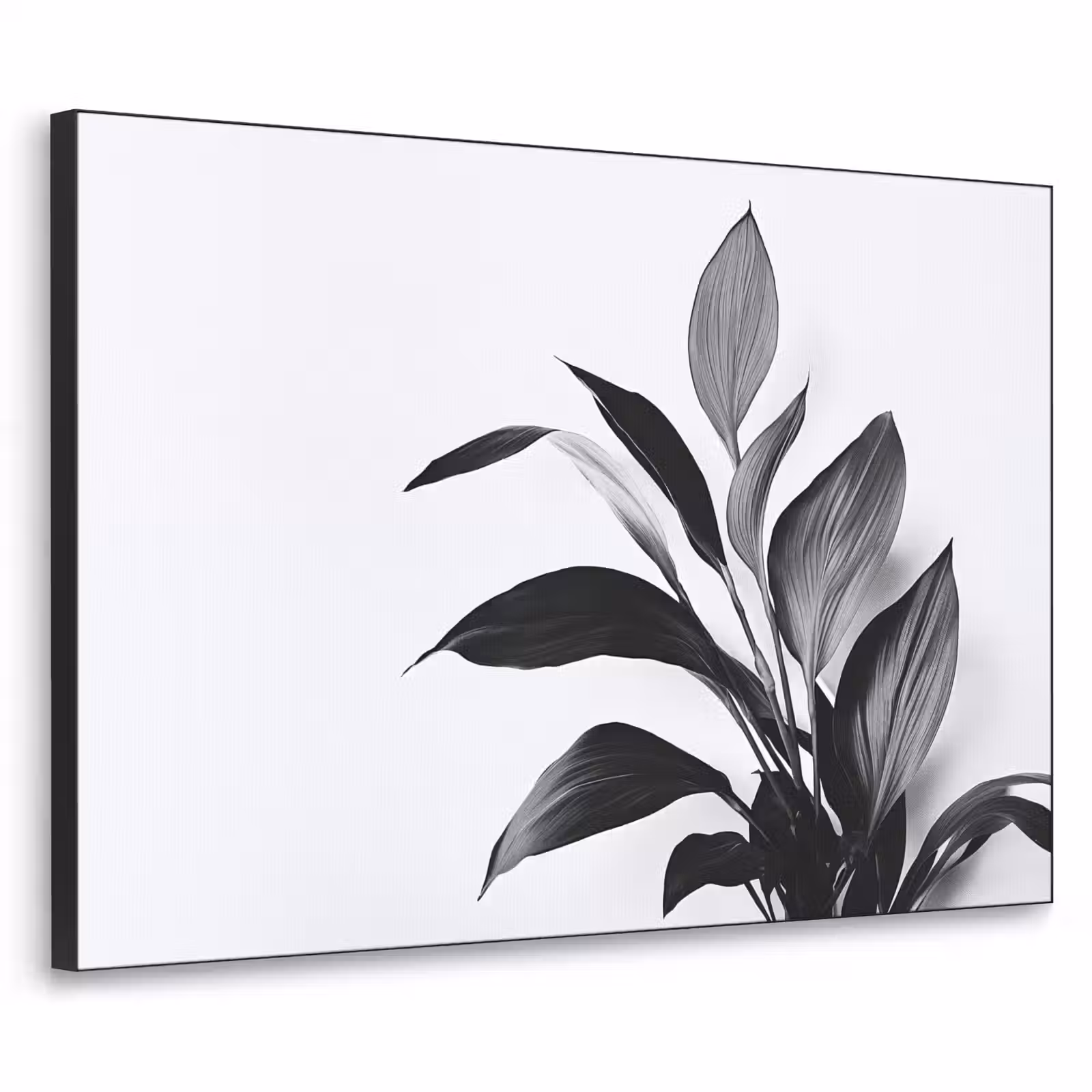 Art Frame - Plant - Bladeren - Minimalistisch - Zwart — 1