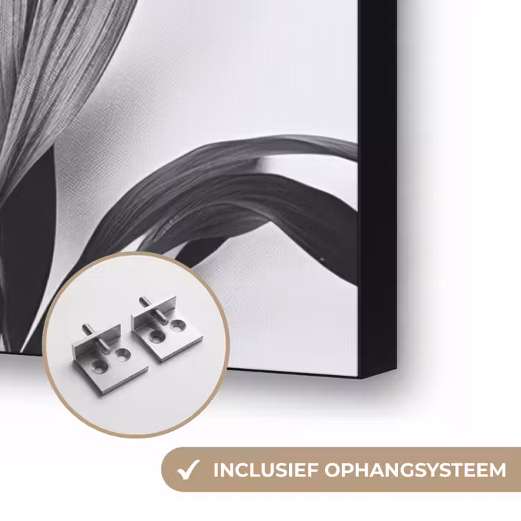 Art Frame - Plant - Bladeren - Minimalistisch - Zwart — 6