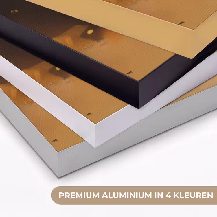 Art Frame - Leeuw - Geschilderd - Abstract - Goud — 2