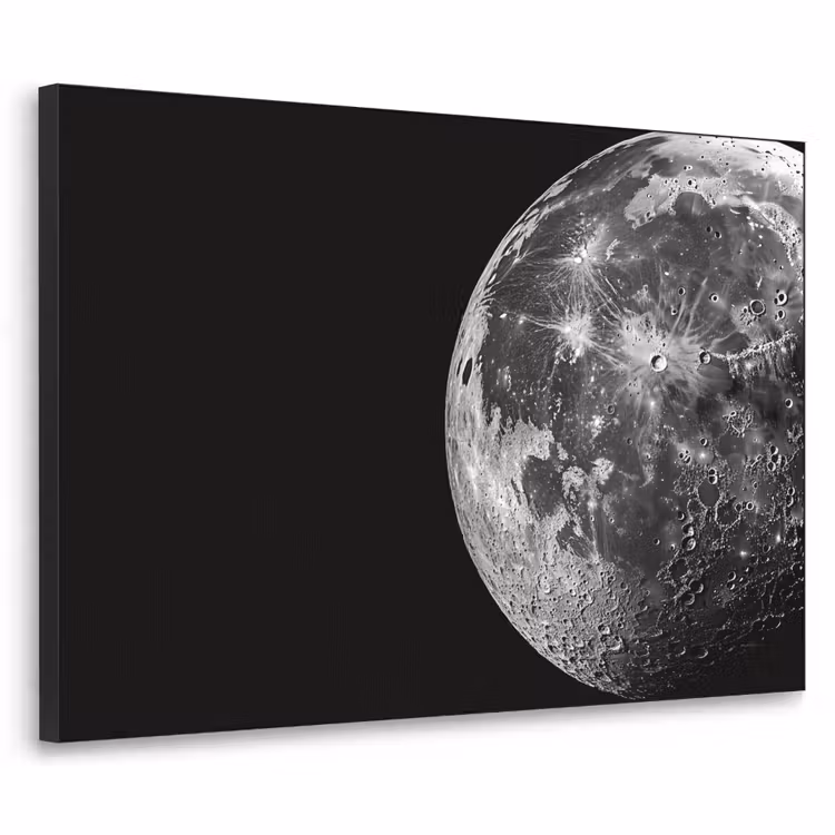 Art Frame - Close-up - Maan - Wit - Textuur — 1