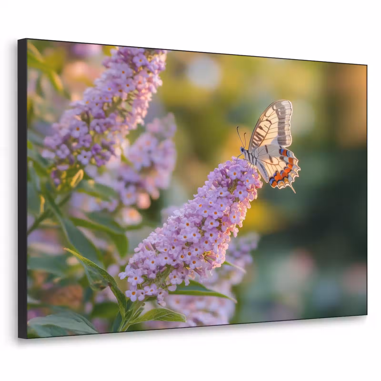 Art Frame - Sierlijke - Vlinder - Paarse - Bloemen — 1