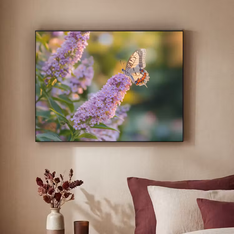 Art Frame - Sierlijke - Vlinder - Paarse - Bloemen — 3