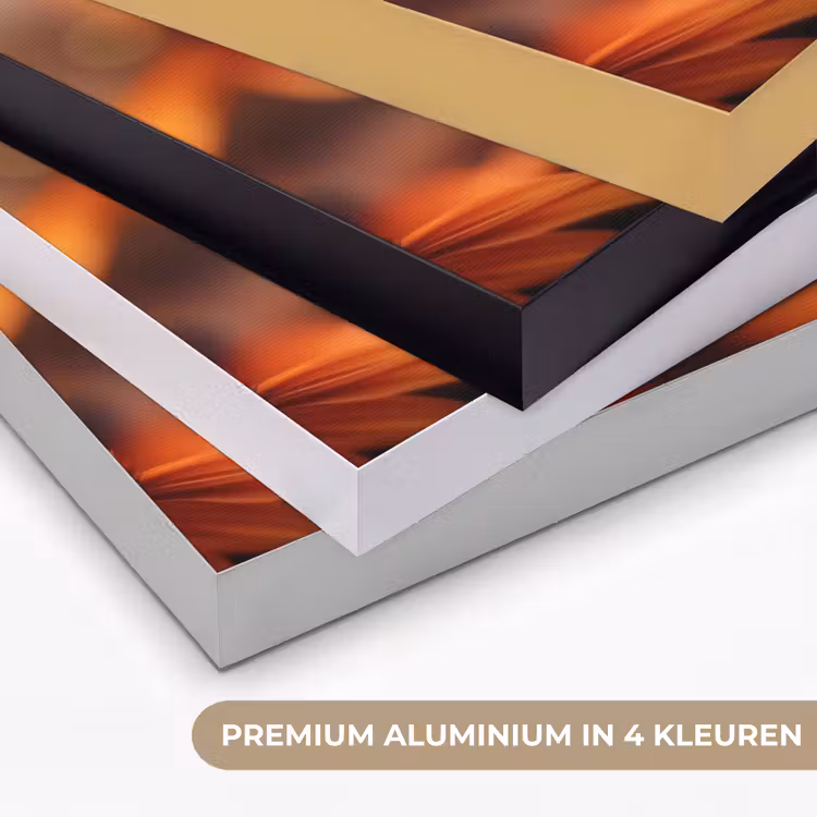 Art Frame - Vlinder - Bloemen - Oranje — 2