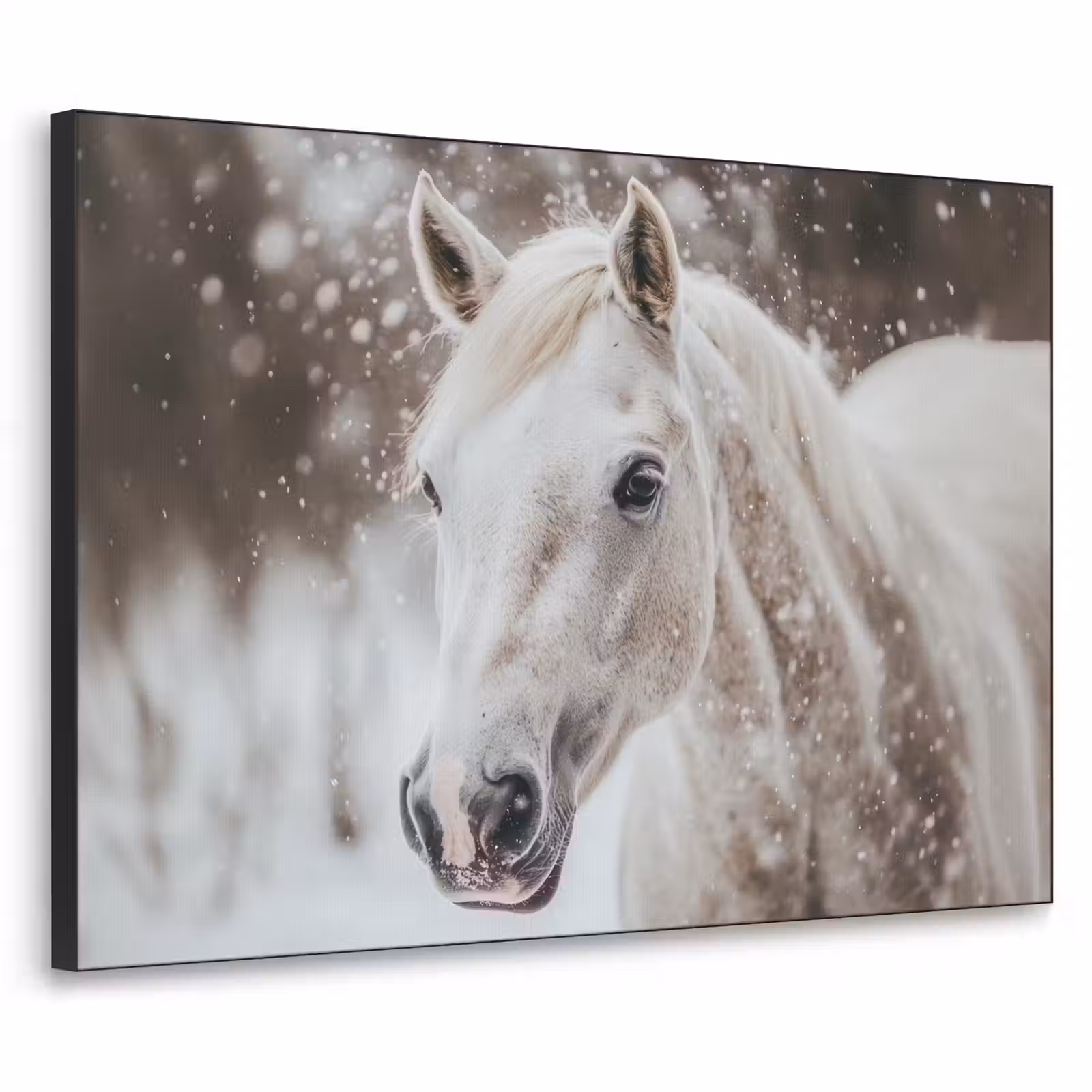 Art Frame - Paard - Wit - Winter - Natuur - Sneeuw - Dieren — 1