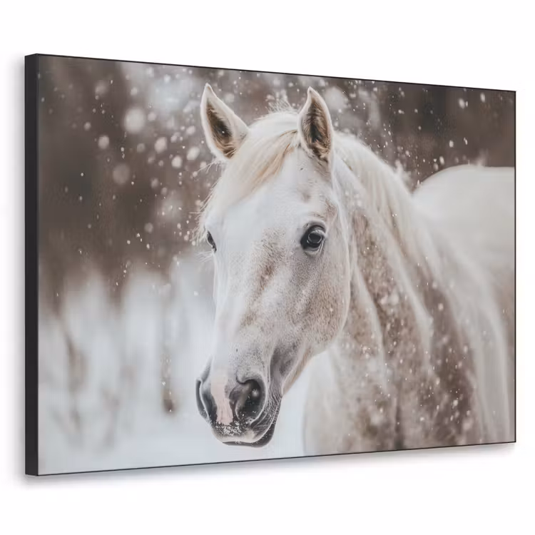 Art Frame - Paard - Wit - Winter - Natuur - Sneeuw - Dieren — 1