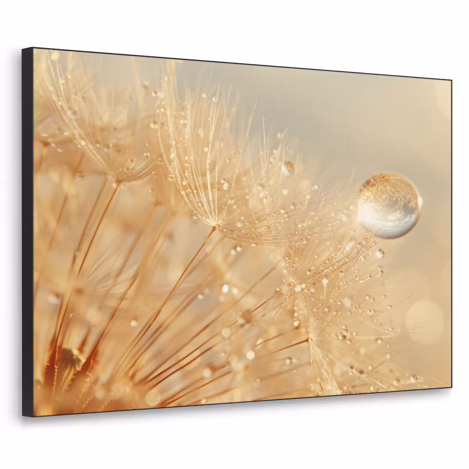Art Frame - Paardenbloem - Water - Natuur - Planten - Modern — 1