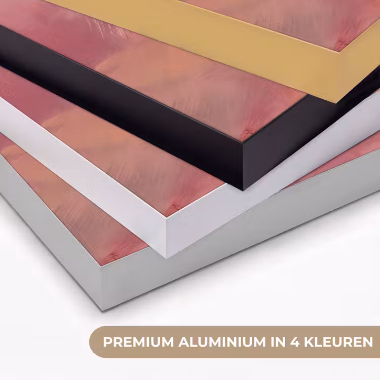 Art Frame - Abstracte Verfstreken Oudroze — 2