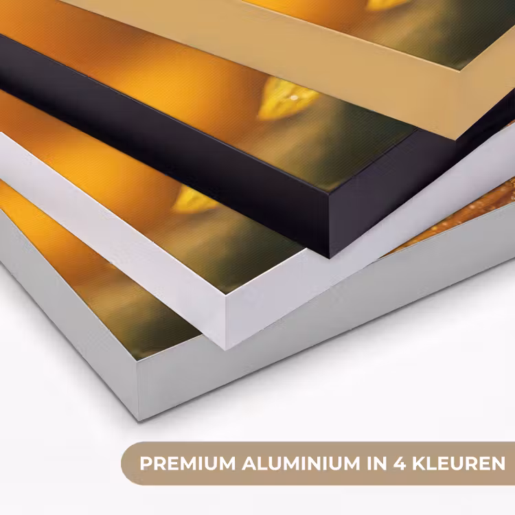 Art Frame - Zonnebloem - Dauwdruppels - Geel - Zonlicht — 2