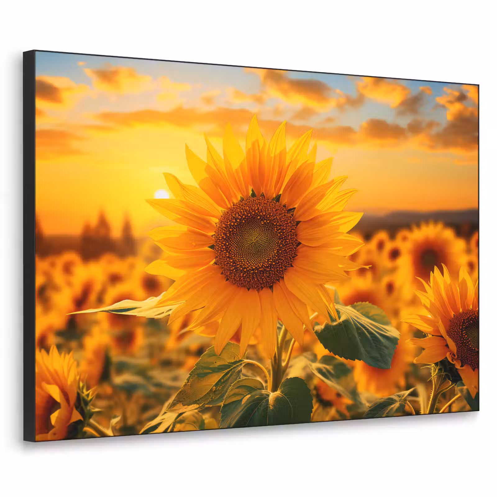 Art Frame - Zonnebloem - Bloemen - Geel - Bloemenveld met zonnebloemen — 1