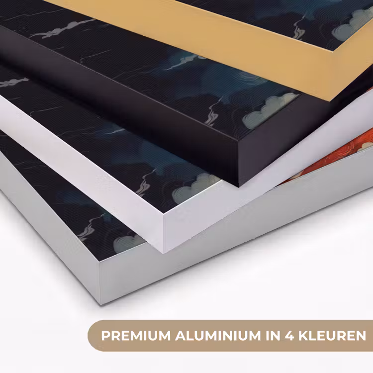 Art Frame - Witte vos - wolken - maan — 2