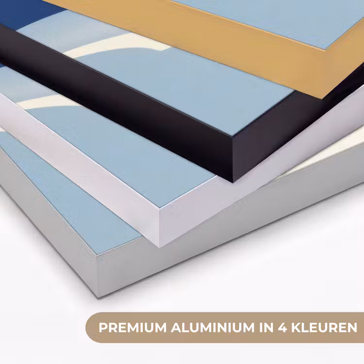 Art Frame - Zwaan - Wit - Snavel - Illustratie — 2