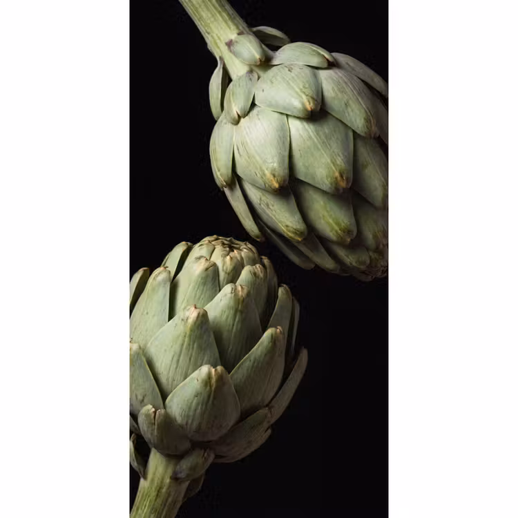 Behang - Artisjok - Groen - Eten — 2