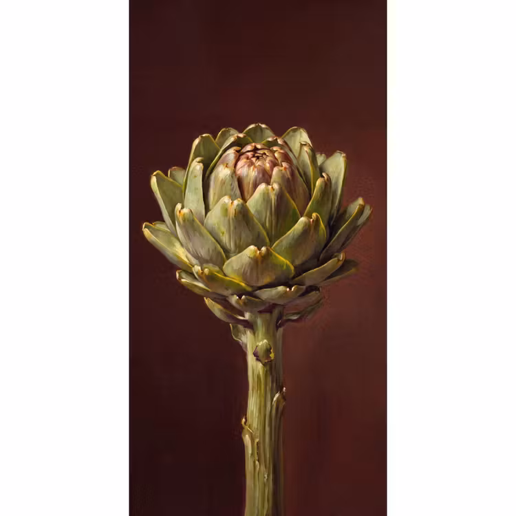 Behang - Groente - Artisjok - Groen — 2