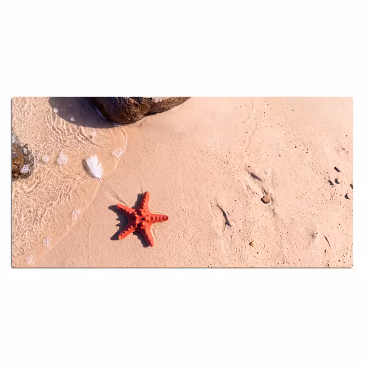 Bureau onderlegger - Dieren - Strand - Zee - Natuur - Rood — 2