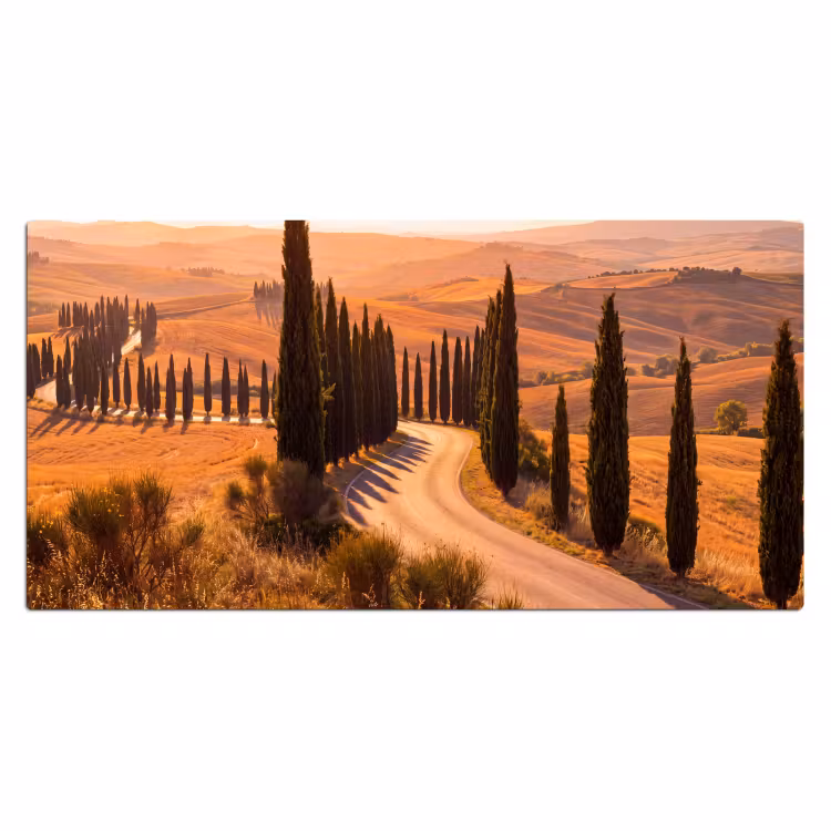 Bureau onderlegger - Landschap - Weg - Bomen - Natuur - Goud — 2
